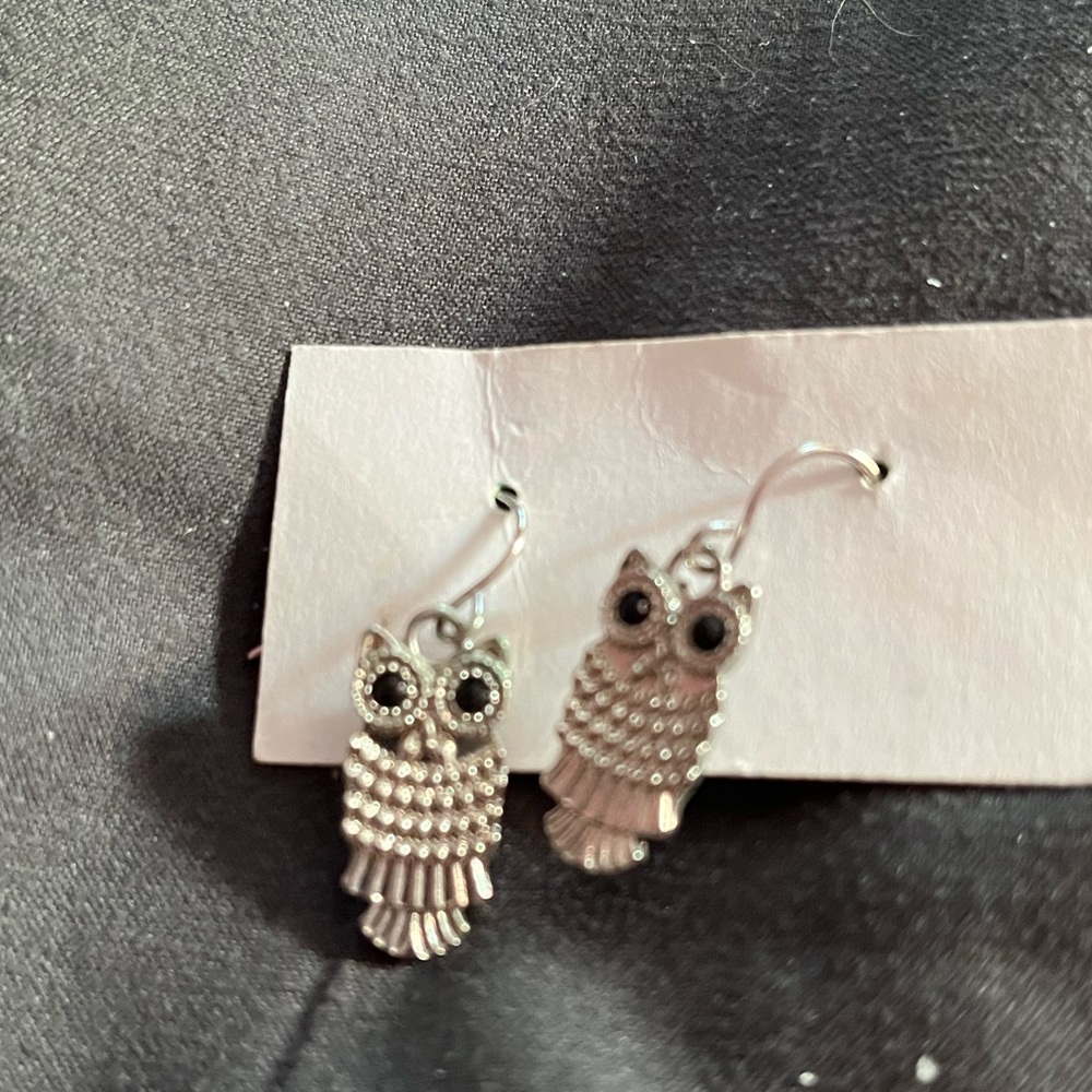 Silver Owl pierced earrings - Picture 1 of 3